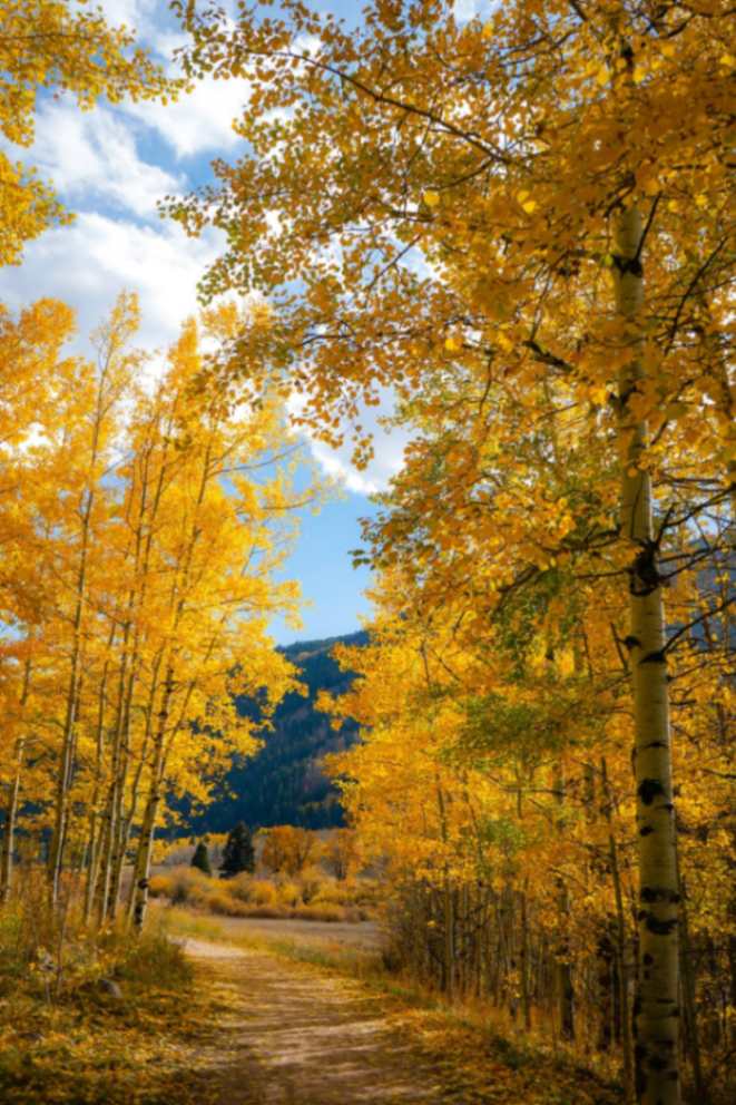 Colorado Off Road Fall Colors
